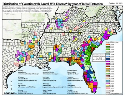 Laurel wilt map